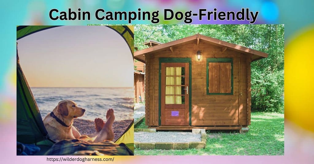 cabin camping dog friendly