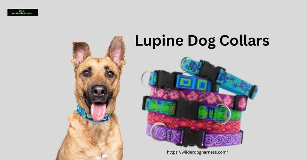 Lupine dog collars