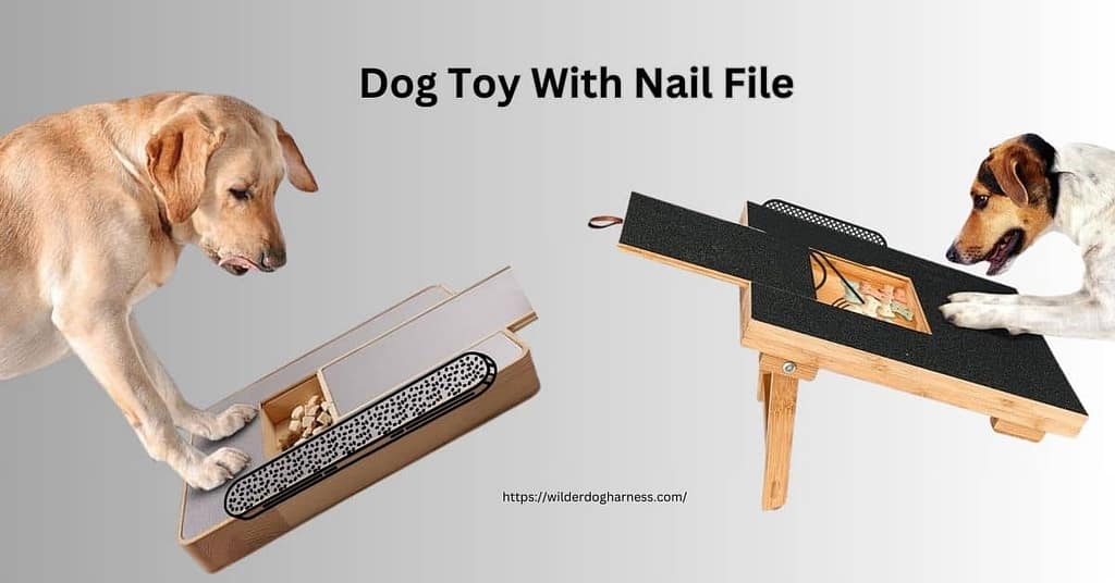 dog toy with nail file