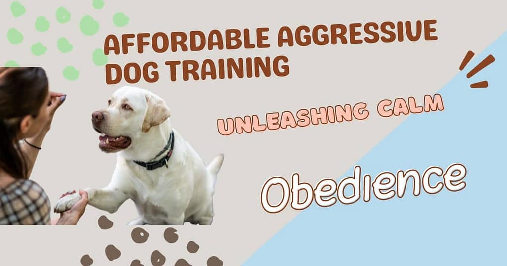 affordable aggressive dog training