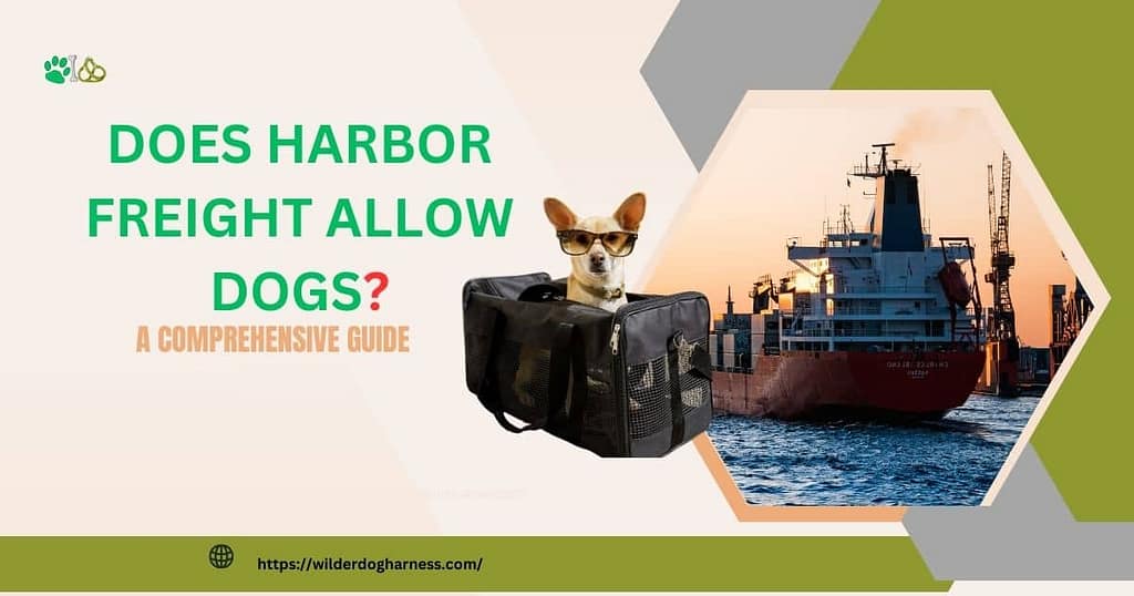 Does Harbor Freight Allow Dogs