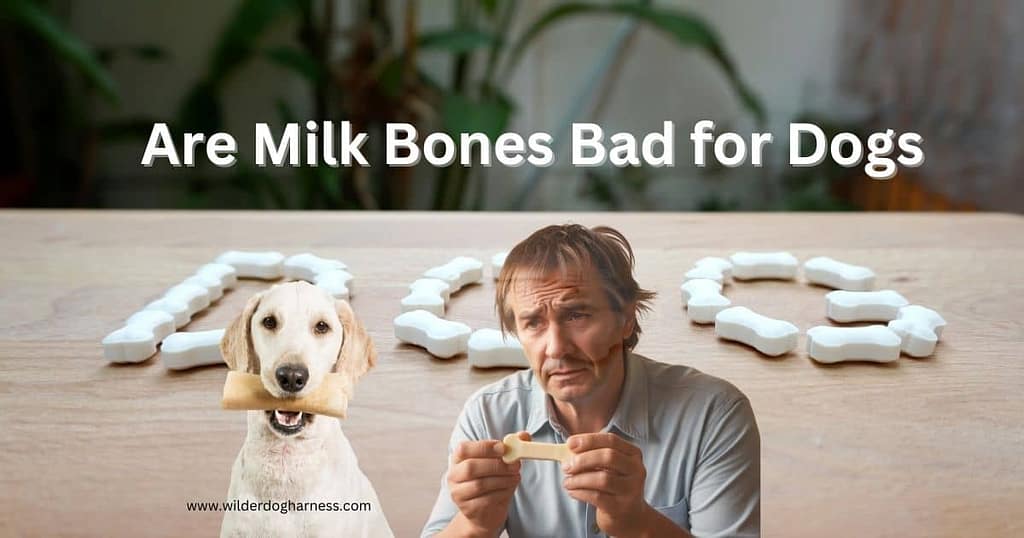are milk bones bad for dogs
