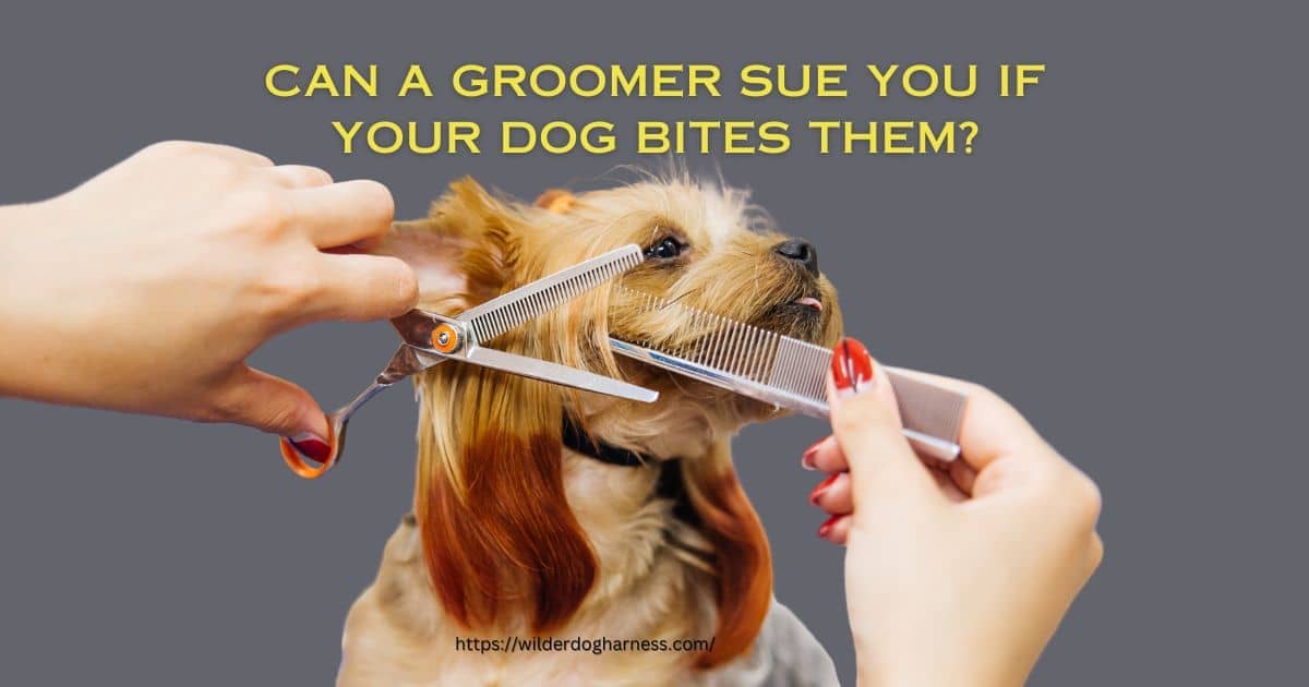 Can a Groomer Sue You if Your Dog Bites Them