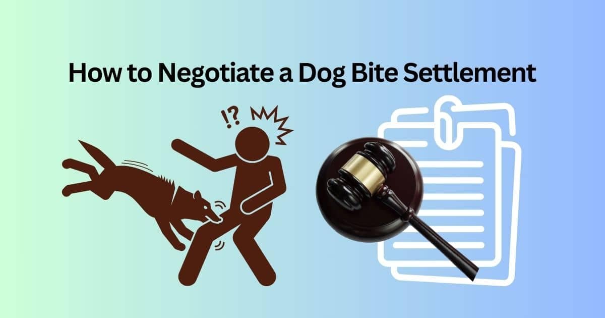 How to Negotiate a Dog Bite Settlement