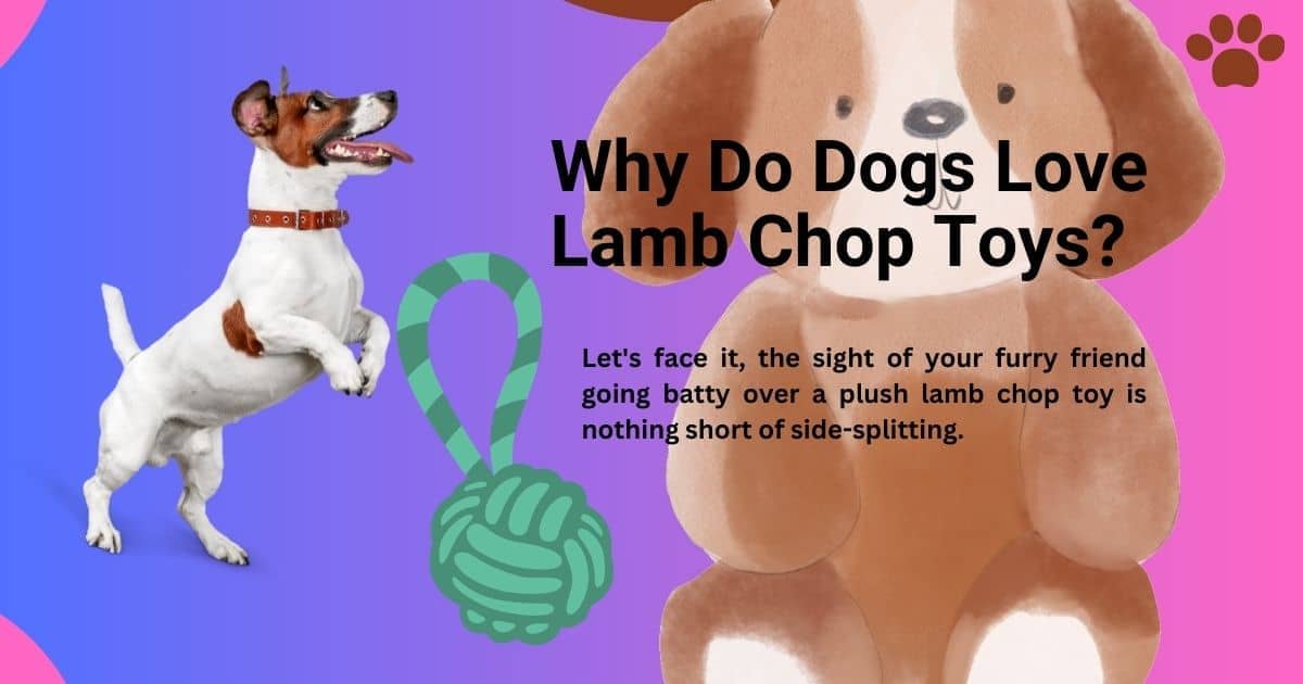 Why Do Dogs Love Lamb Chop Toys