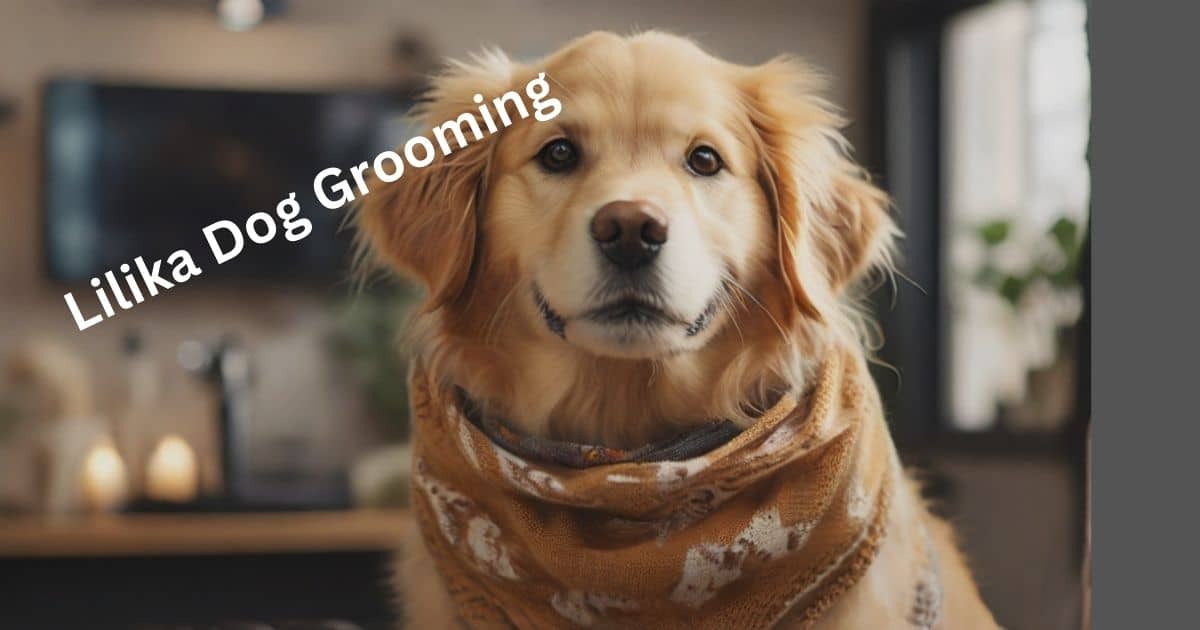 Lilika dog grooming