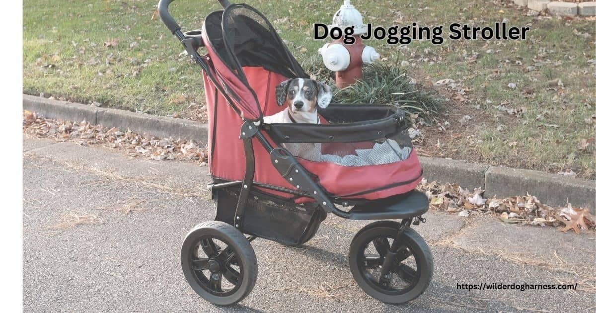 Dog Jogging Stroller