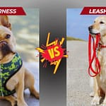 Why Harnesses Are Better Than Leashes: Unlock Safer, Happier Walks in 2025 Why Harnesses Are Better Than Leashes