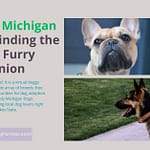 Hoobly Michigan Dogs: Finding Best Furry Friends Hoobly Michigan Dogs