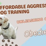 Affordable Aggressive Dog Training: Your Real-Life Guide to a Calmer, Safer Dog (2025) affordable aggressive dog training