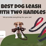 Best Dog Leash with Two Handles: Your Mate for Adventures Best Dog Leash with Two Handles
