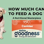 How Much Canidae to Feed a Dog: (2025 Vet-Approved Portion Guide) How Much Canidae to Feed a Dog