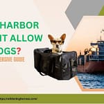 Does Harbor Freight Allow Dogs In 2025? Latest Store Policy & Pet Safety Tips Does Harbor Freight Allow Dogs