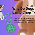 Why Do Dogs Love Lamb Chop Toys? The Science Behind Their Obsession Why Do Dogs Love Lamb Chop Toys