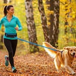 Why Do Dogs Need Bungee Leashes? Understanding the Stretch in Your Walks Why Do Dogs Need Bungee Leashes