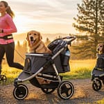 7 Best Dog Stroller For Jogging In 2025: Run with Your Pup! Dog Jogging Stroller