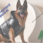 Best German Shepherd dog apparel you do not know?  Best German Shepherd dog apparel