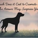 How Much Does It Cost to Cremate a Dog? Cost May Surprise You! How Much Does It Cost to Cremate a Dog