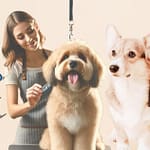 Cost to Groom 17 lb Dog Ontario Canada: Everything You Need to Know Cost to Groom 17 lb Dog Ontario Canada