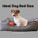 What's the Ideal Dog Bed Size for Your Pet for Large? What's the ideal dog bed size for your pet for large