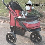Best Dog Jogging Stroller for Every Pet and Owner Dog Jogging Stroller
