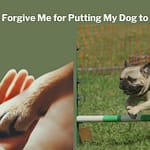 Will God Forgive Me for Putting My Dog to Sleep? Will God Forgive Me for Putting My Dog to Sleep