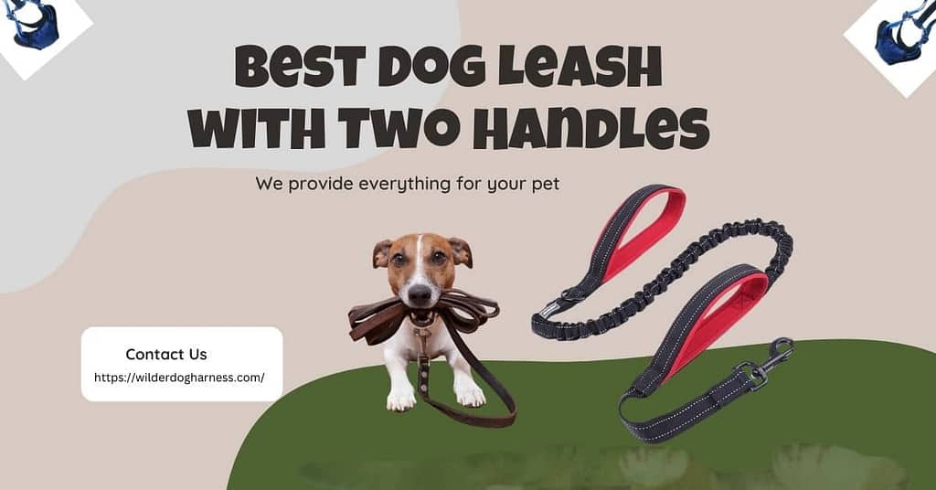 Best Dog Leash with Two Handles