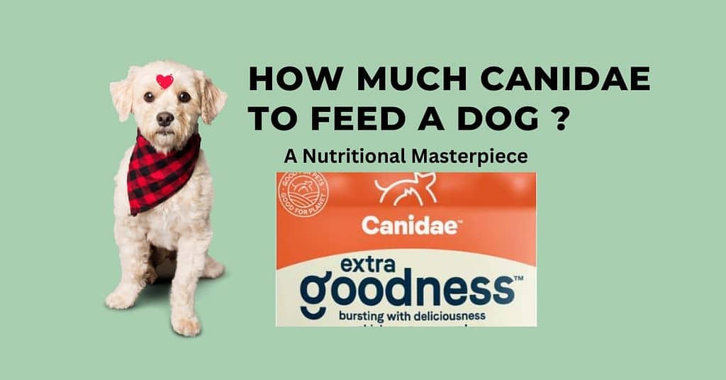 How Much Canidae to Feed a Dog