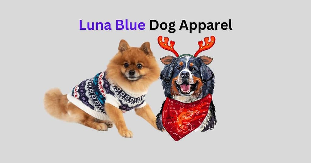 luna blue dog apparel