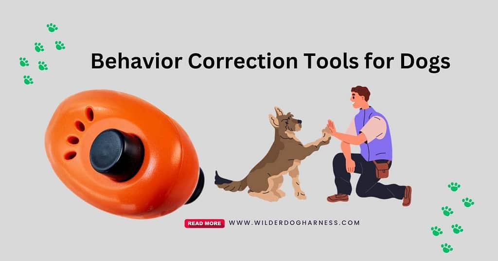 Behavior Correction Tools for Dogs