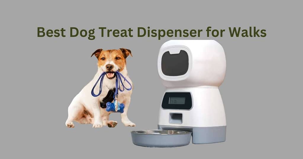 Dog Treat Dispenser for Walks