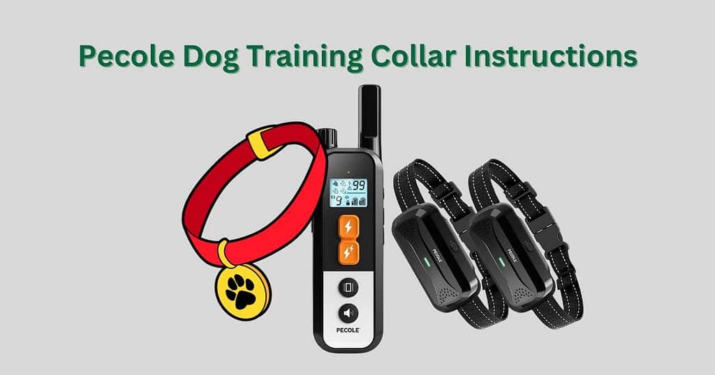 pecole dog training collar instructions