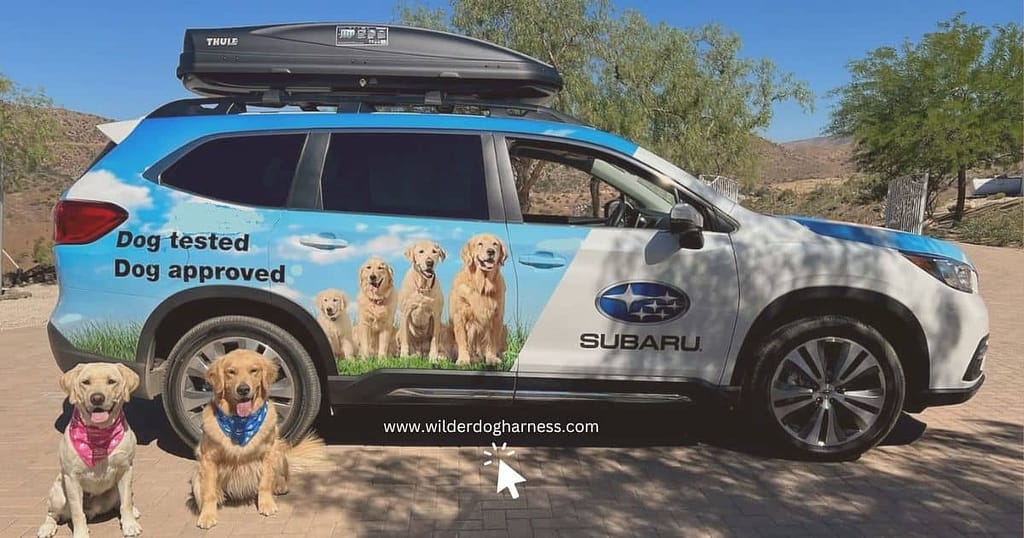 Subaru Dog Commercial 2024