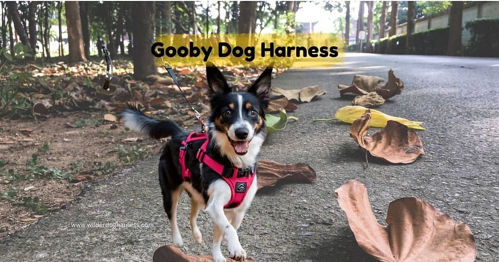 Gooby Dog Harness